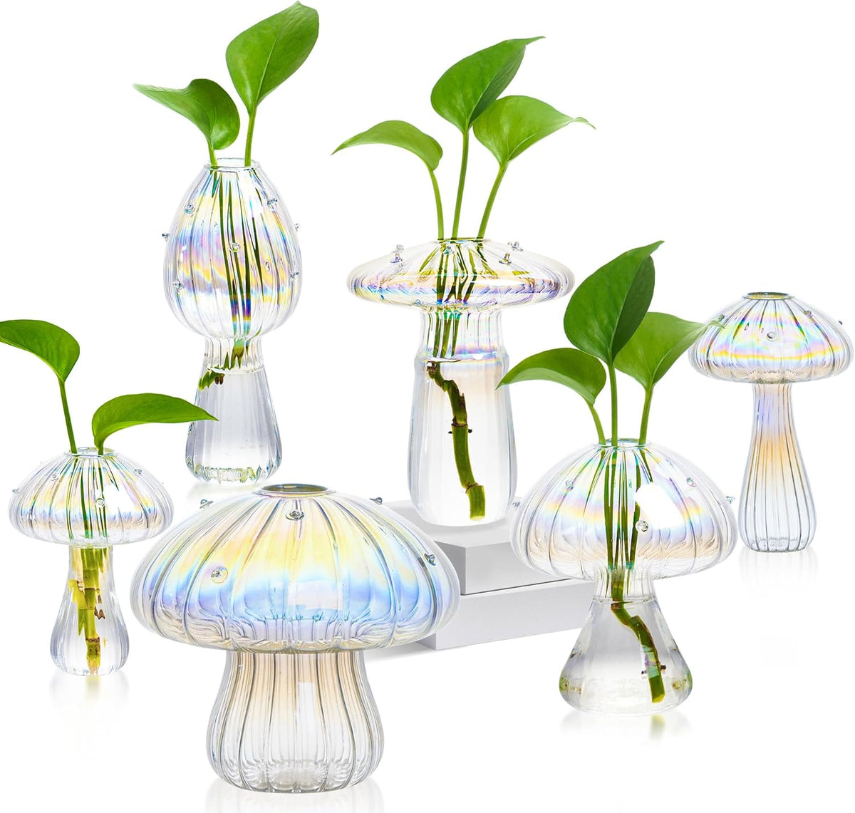 Plant Propagation Station, Set of 6 Clear Mushroom Vase, Propagation Stations, Small Plant