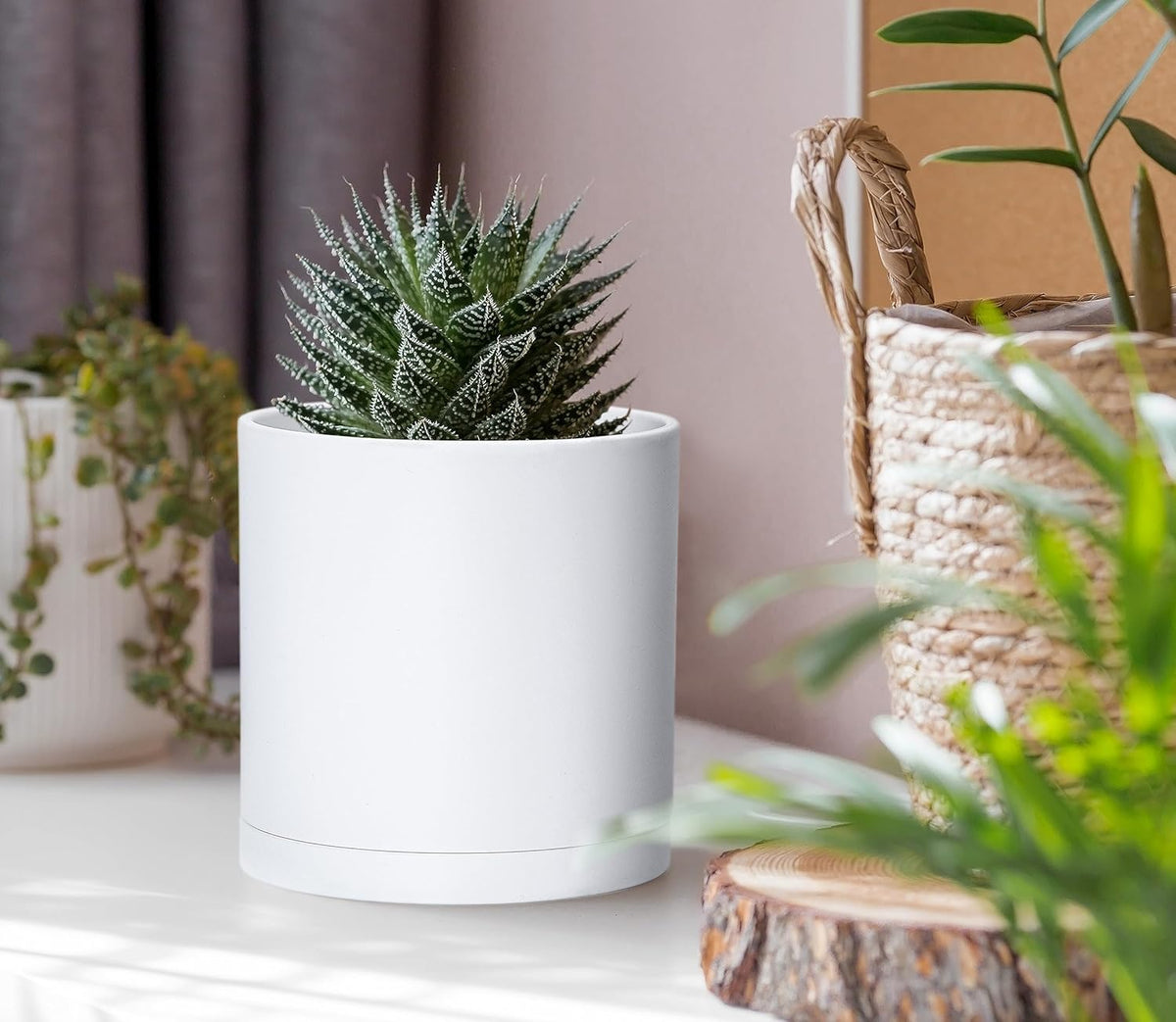 D'vine Dev 6 Pack 4 Inch Modern Plastic Plant Pots, Small Garden Planters for Plant with Drainage
