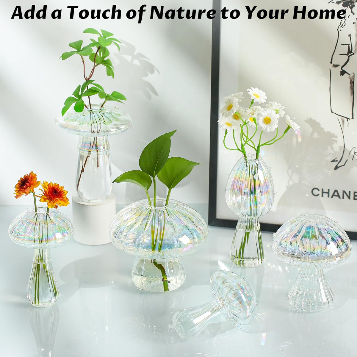 Plant Propagation Station, Set of 6 Clear Mushroom Vase, Propagation Stations, Small Plant