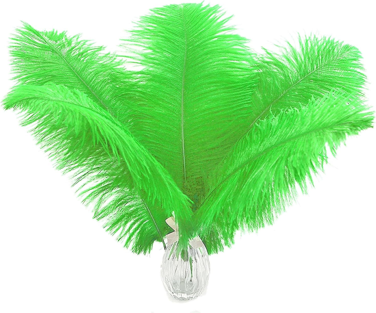 Ballinger Lime Green Ostrich Feathers - 24Pcs 10-12inch Large Green Ostrich Feathers for