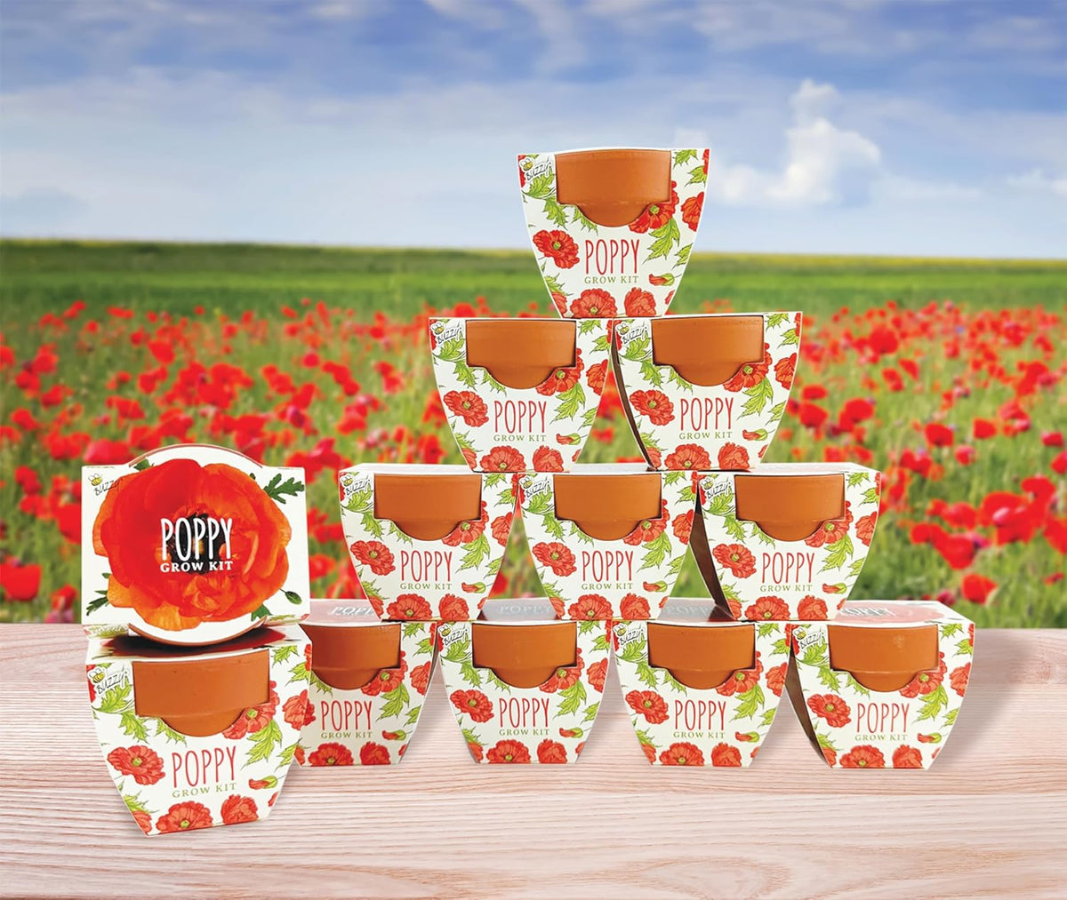 BUZZY Seeds 12-Pack Poppy Grow Kit – Mini Terracotta Pots with Poppy Seeds and Growing Medium