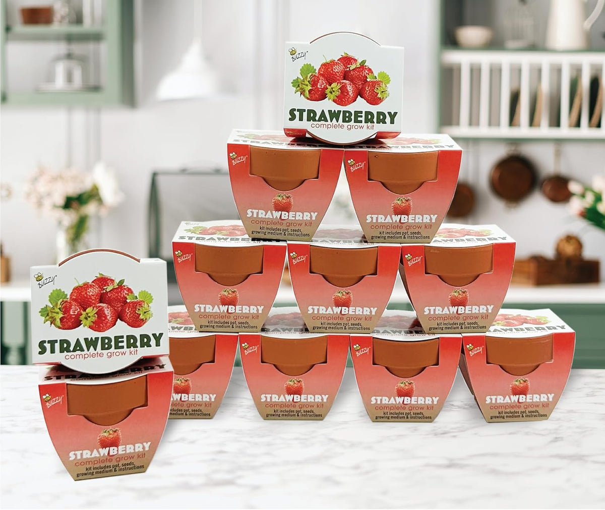 BUZZY Seeds Mini Terracotta Grow Pots | Alpine Strawberry DIY Plant Kit for Kids & Adults | 12-Pack