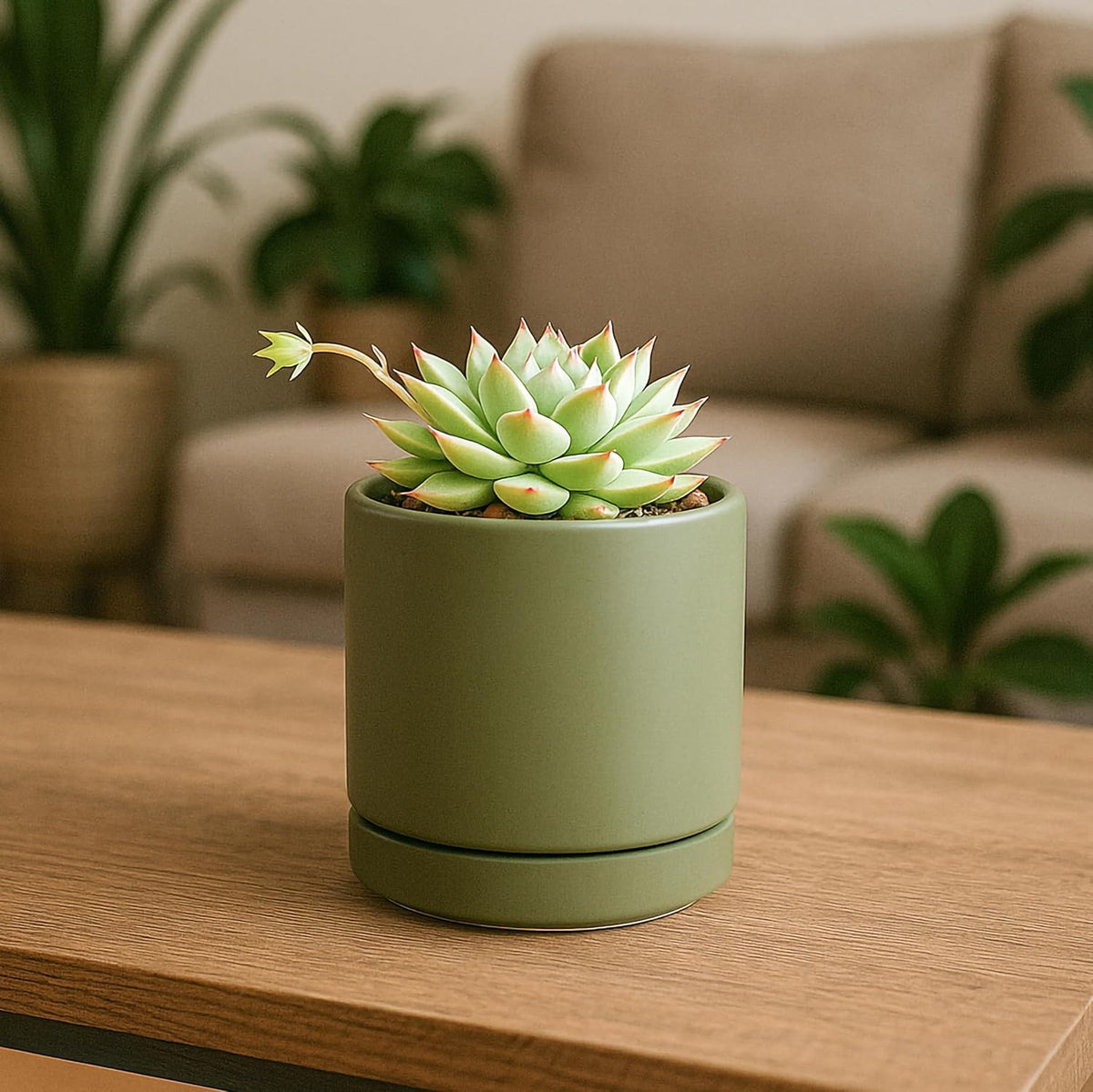 D'vine Dev Set of 4 Small Ceramic Plant Pots, 3.5 Inch Succulent Planter Pot for Plants with