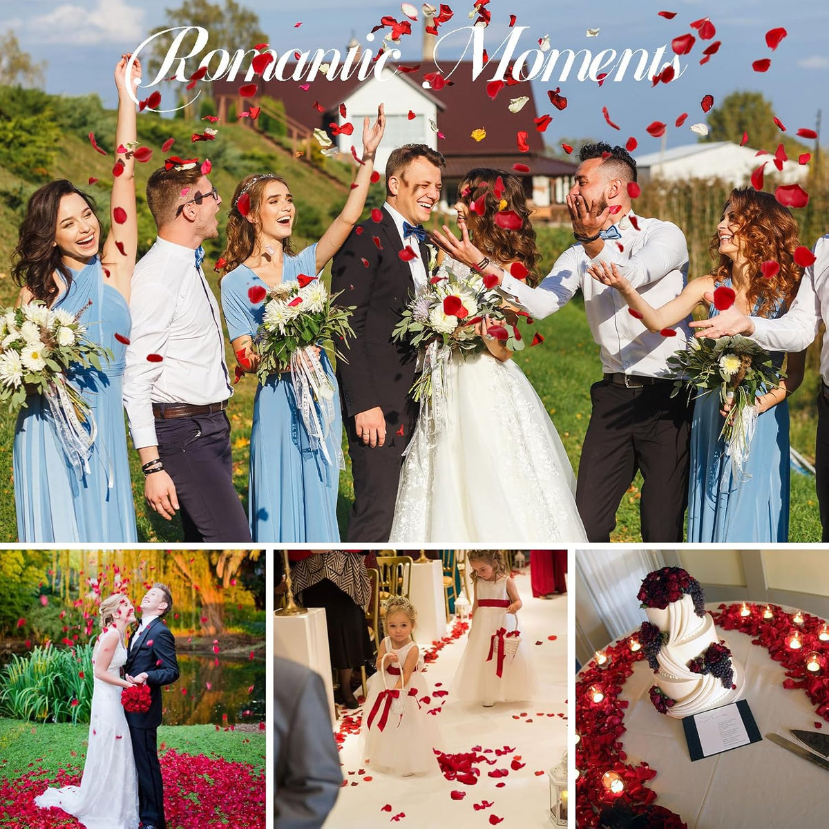 3.5 Oz Dried Rose Petals Wedding Biodegradable Petals, Natural Preservation Real Flower Petals