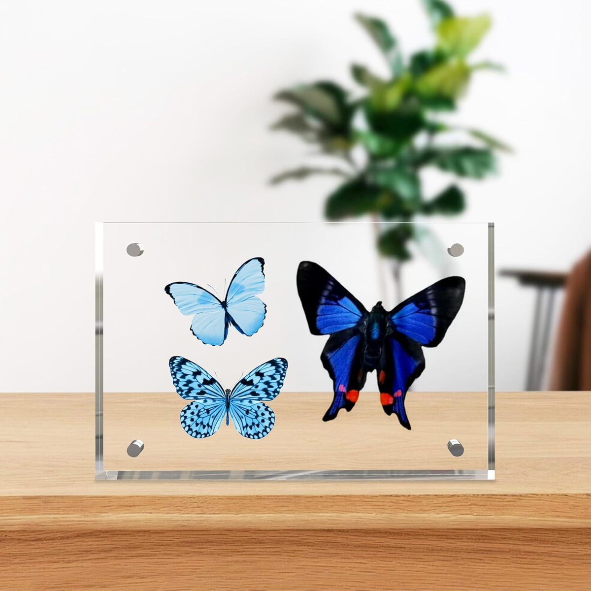 5x7 Inches Acrylic Picture Frames 3 Pack, Double Sided Magnetic Photo Frames,Free Standing on Desk