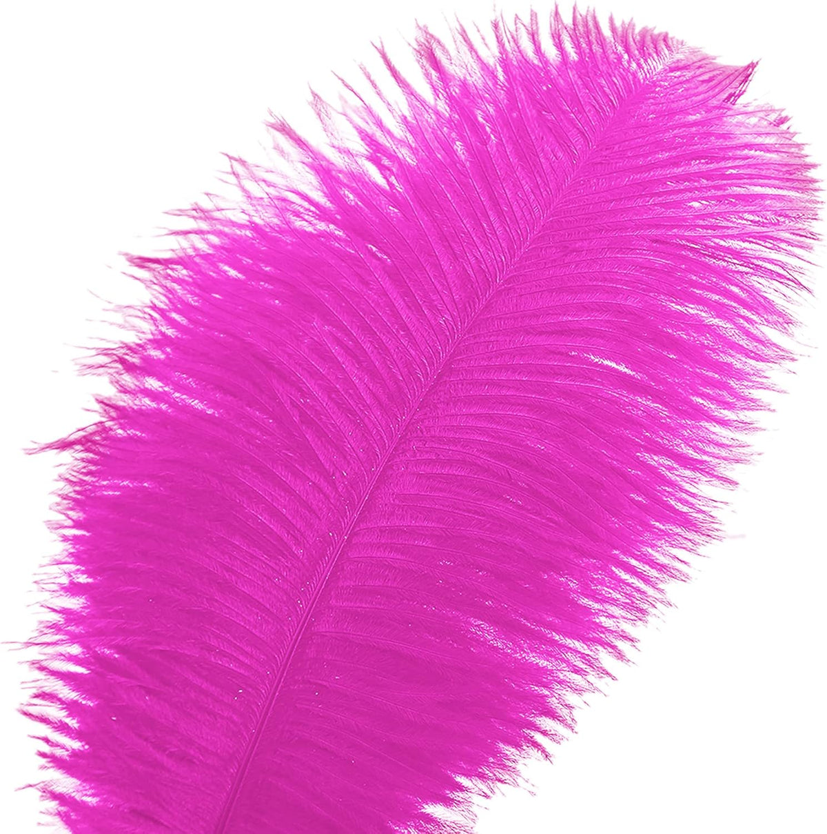 Ballinger Fuchsia Large Ostrich Feathers - 24pcs 10-12inch Craft Feathers Bulk for r Party