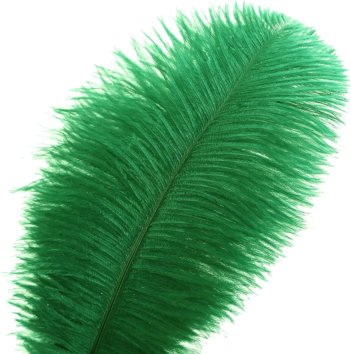 Ballinger Green Ostrich Feathers Bulk - 24pcs 10-12inch Feathers for Vase, Wedding Party