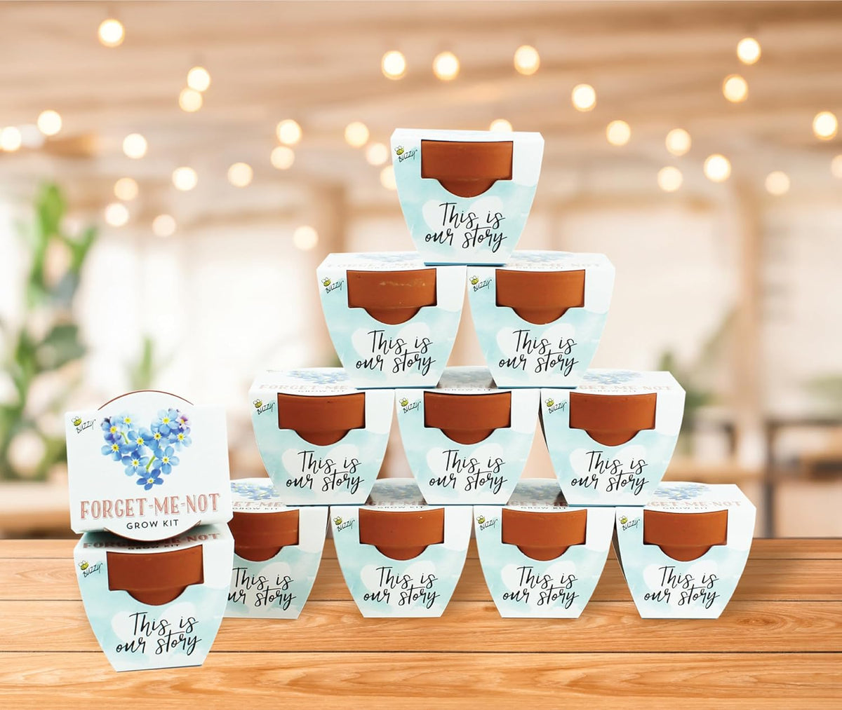 BUZZY Seeds Forget-Me-Not Terracotta Mini Grow Pots Love Collection, 12-Pack All-in-One Gardening