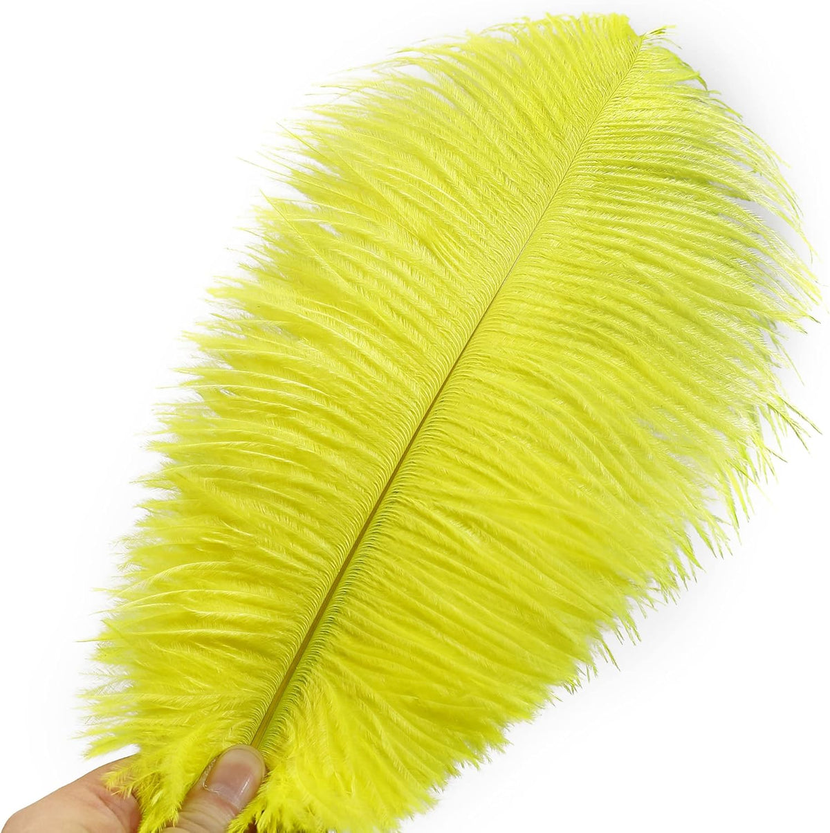 Ballinger Fluorescent Yellow Ostrich Feathers - 24Pcs 10-12inch Feathers Bulk for Vase, Party