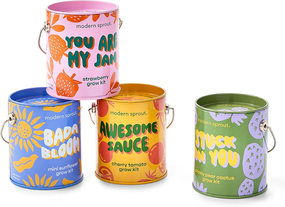 Modern Sprout Complimentary Color Grow Kits (Pack of 4) - Seed Starter Kit - Includes Organic