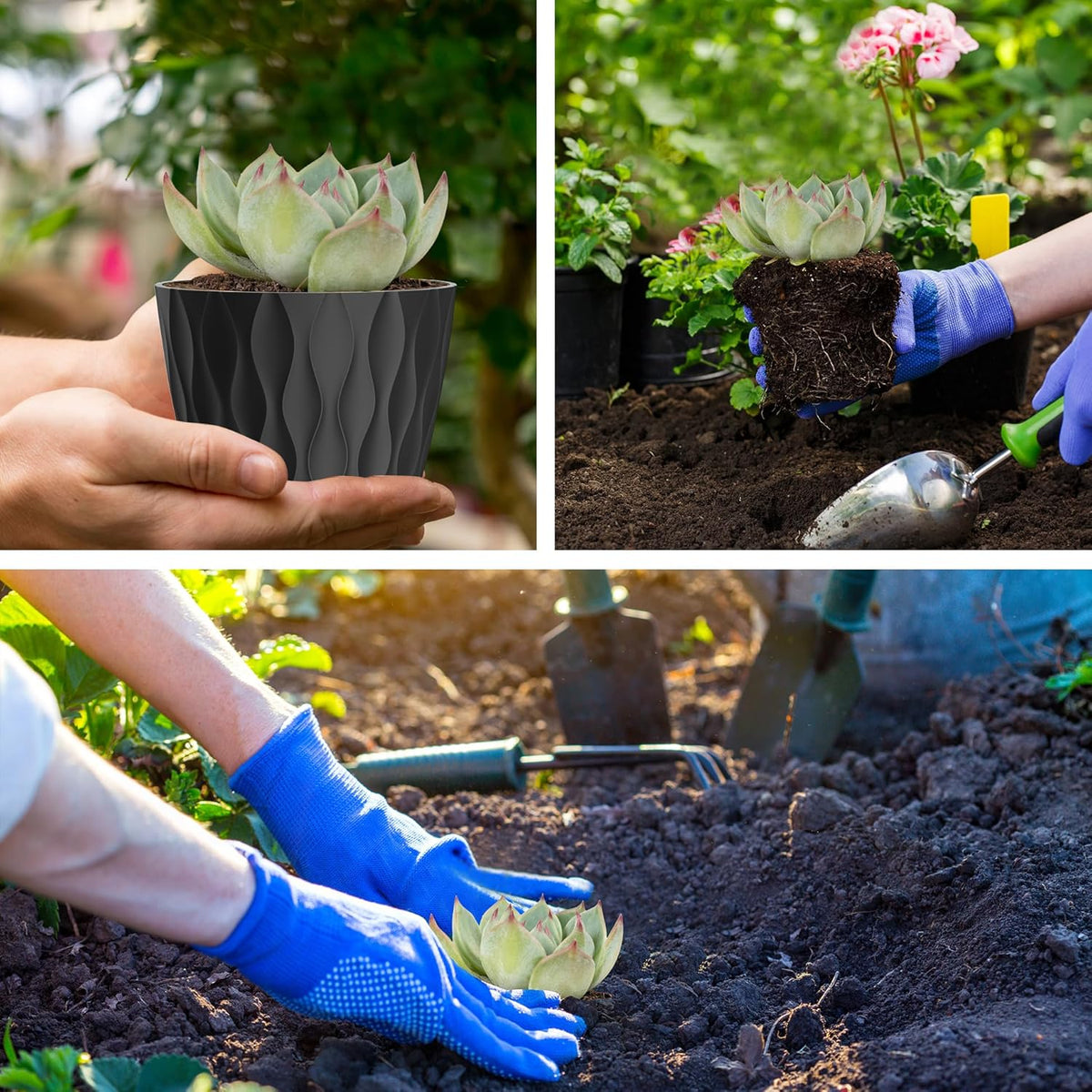 4 Inch Small Pots for Plants, 6 Pack Waffle Texture Small Plant Pots for Succulents, Plastic