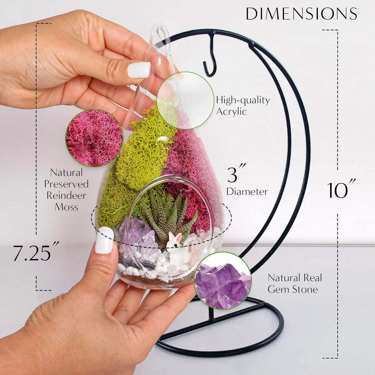 7" DIY Teardrop Terrarium Kit with Live Plants - Hanging Glass Planter with Stand for Adults & Kids