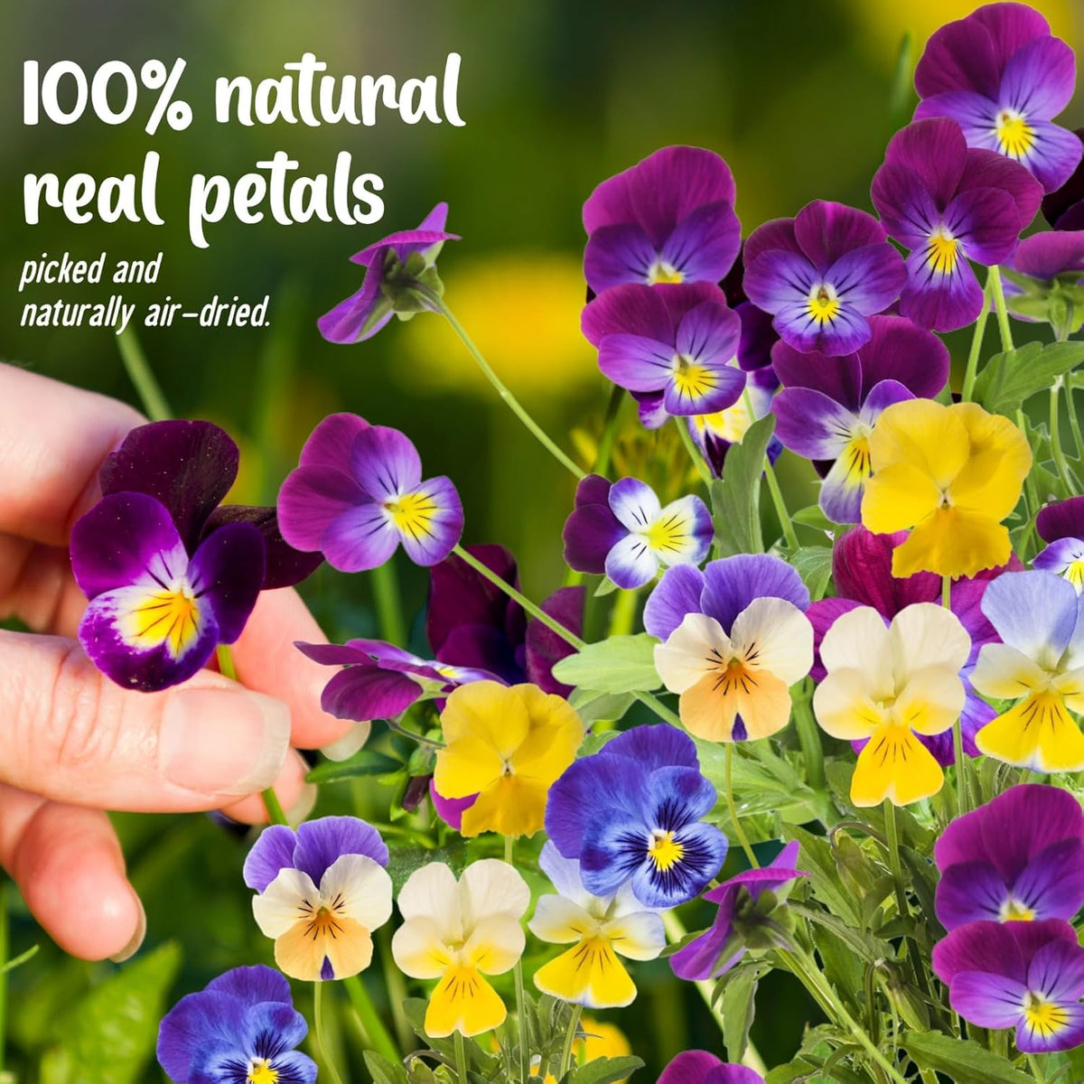 70 Pcs 8 Kinds Natural Dried Pressed Edible Flowers for Cake Topper Decorating - Mix Viola Tricolor