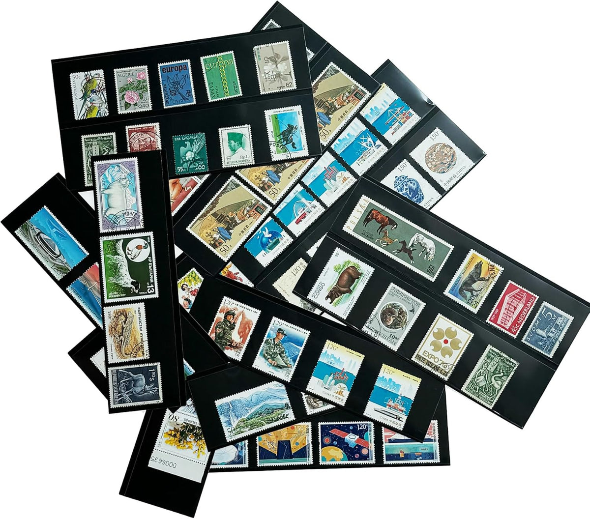 Philatelic Display Black Card Stamp Cover Stamp Collection Stamp Storage philatelic Album Stamps