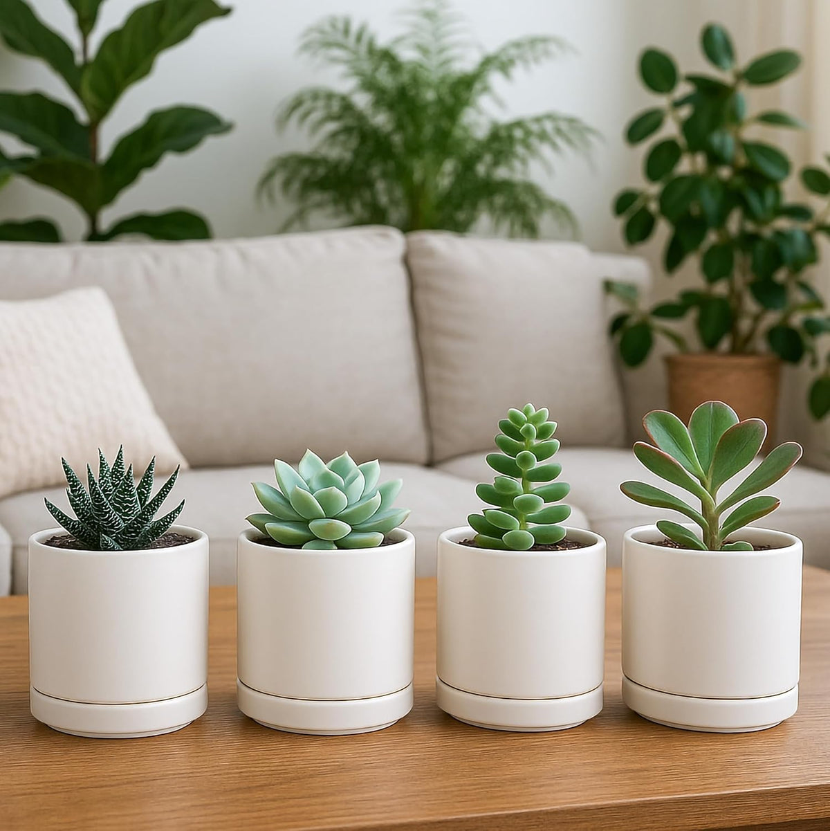 D'vine Dev Set of 4 Small Ceramic Plant Pots, 3.5 Inch Succulent Planter Pot for Plants with