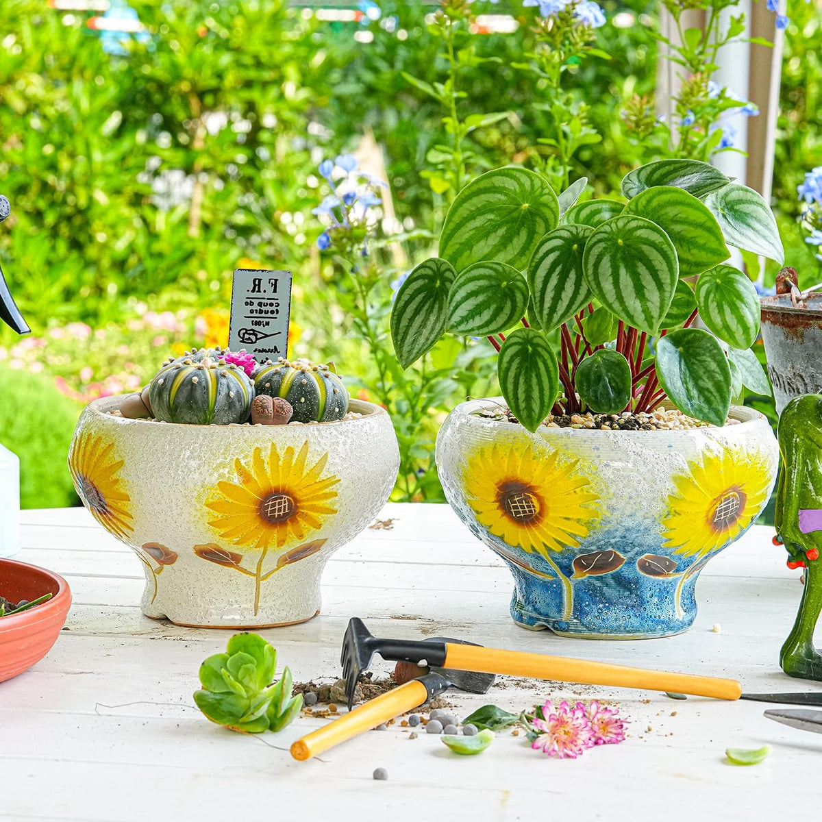 Sungmor Small Succulent Planters Set of 2, Beautiful Hand Crafted Ceramic Plant Pots Cute Cactus