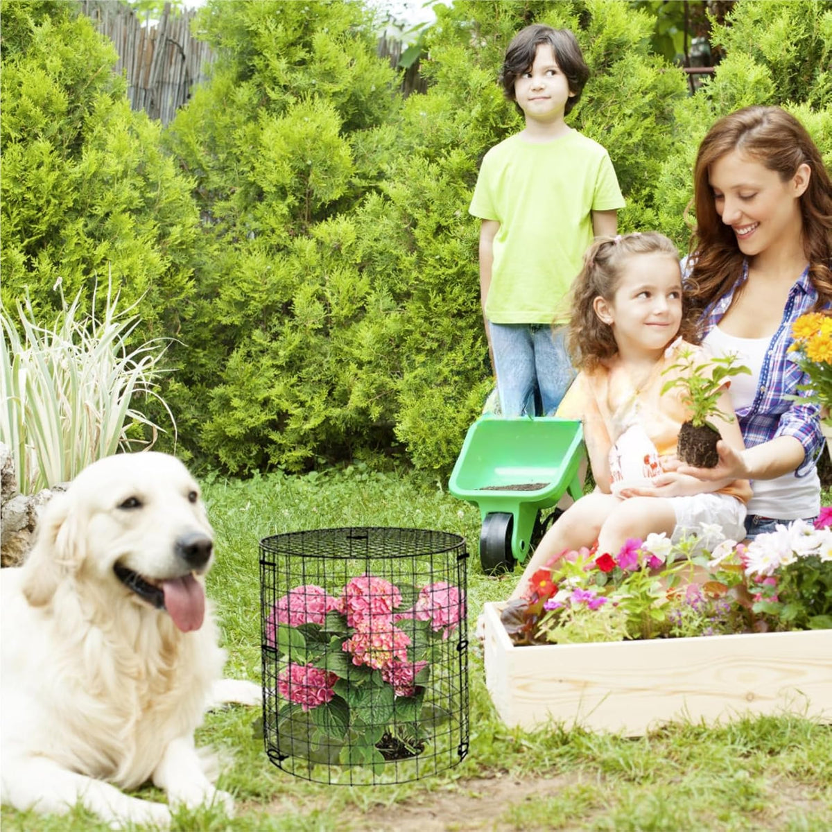 5 Packs Garden Plant Protectors from Animals,Metal Plant Cage Chicken Wire Cloche with Ground