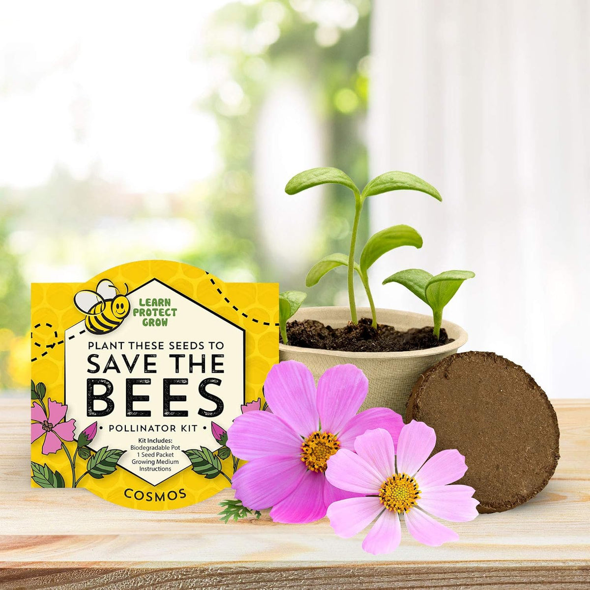 Buzzy Seeds Save The Bees Biodegradable Grow Kit | Herb, Plant, Flower Starter Kit for Kids &