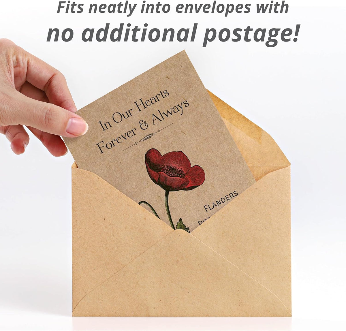 Bentley Seed Co. | Celebration of Life Funeral Favors for Guests | Non-GMO, Non-Coated Flanders