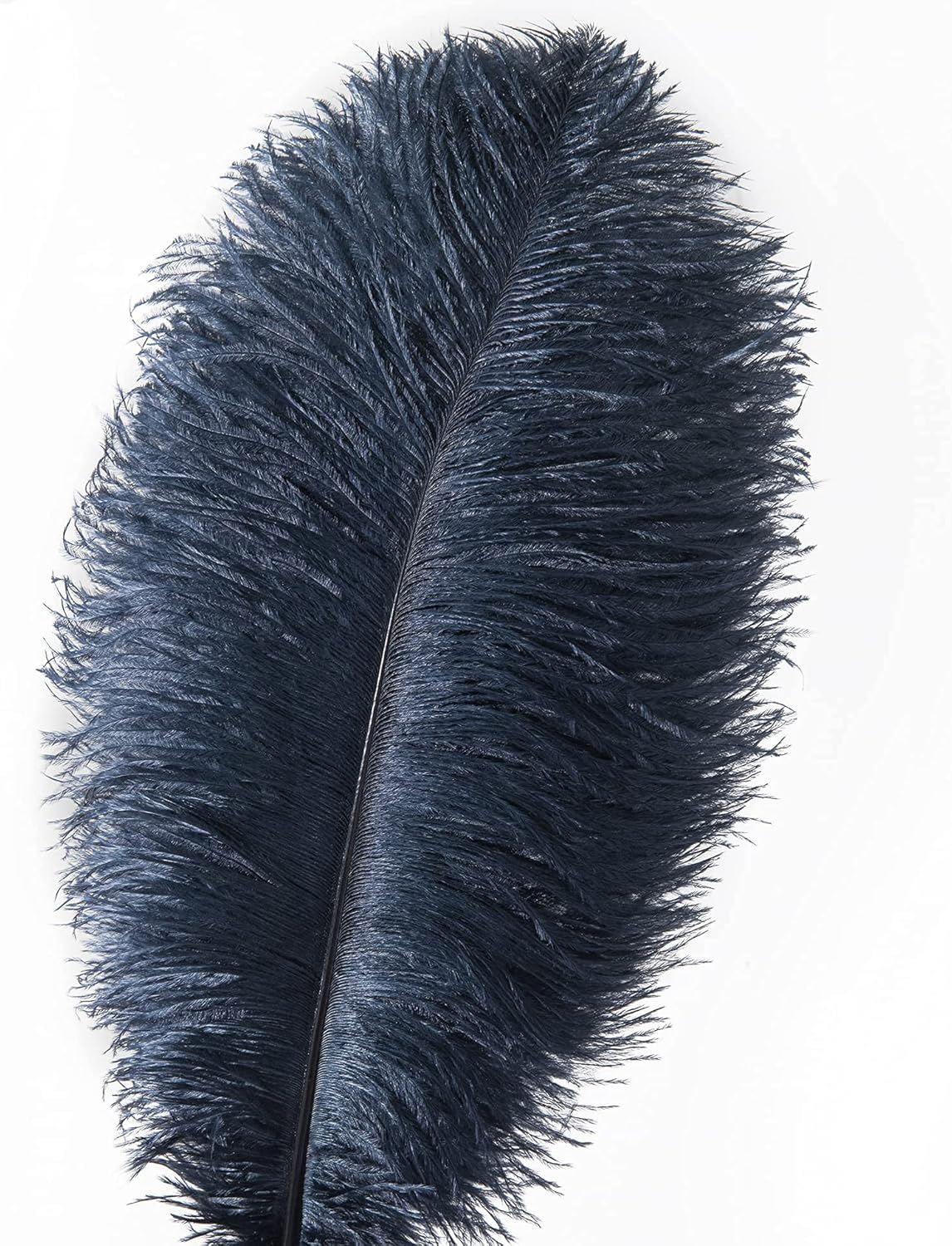 Ballinger Navy Blue Ostrich Feathers Plumes - 24pcs 10-12inch Craft Feathers for Wedding Party