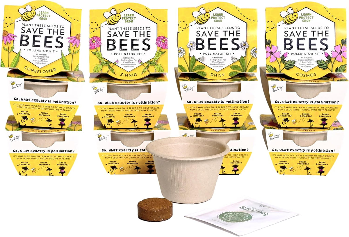 Buzzy Seeds Save The Bees Biodegradable Grow Kit | Herb, Plant, Flower Starter Kit for Kids &