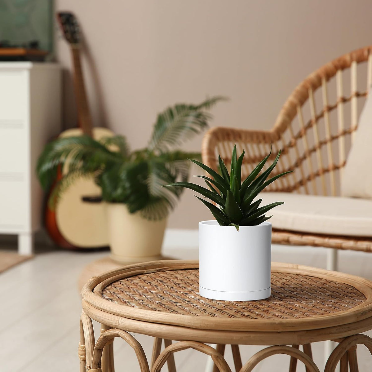 D'vine Dev 2 Pack 5 Inch Modern Plastic Plant Pots, Small Garden Planters for Plant with Drainage