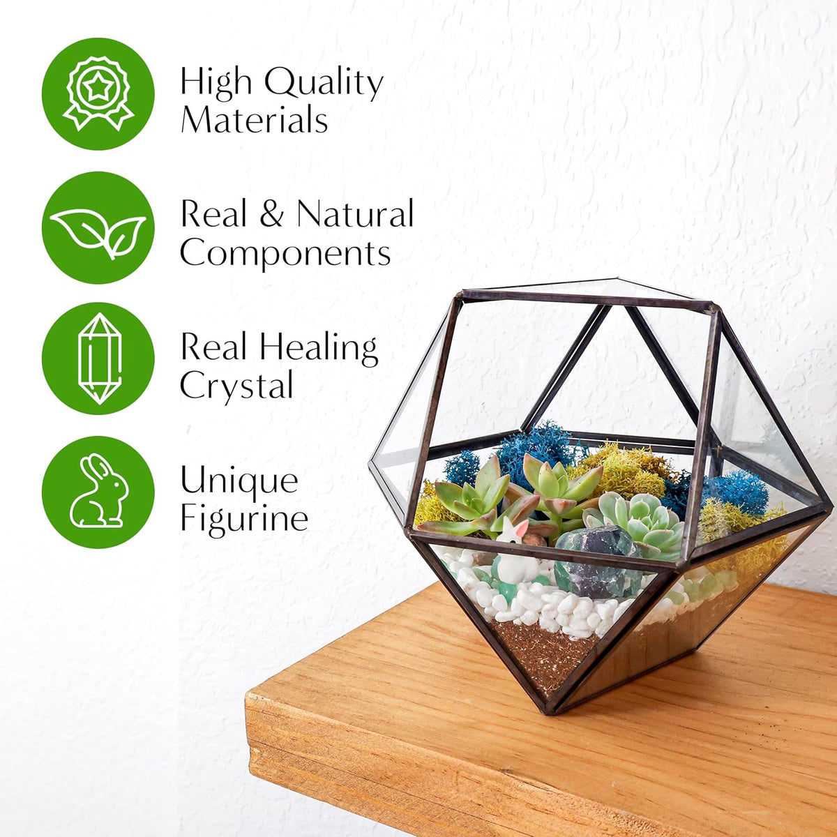 DIY 7" Geometric Terrarium Kit - Build Your Own Glass Terrarium for Adults & Kids with Moss