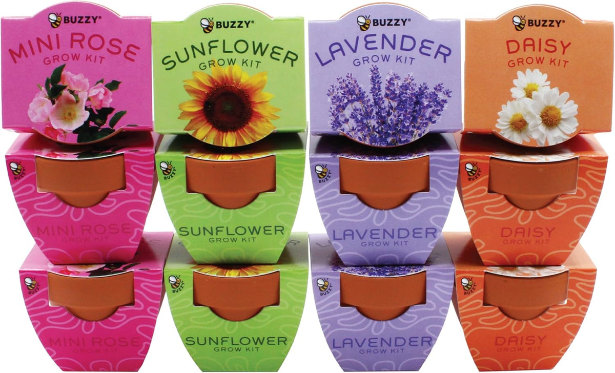 BUZZY Seeds Terracotta Mini Grow Pots | Flower Starter Kit for Kids & Adults | Assorted 12-Pack