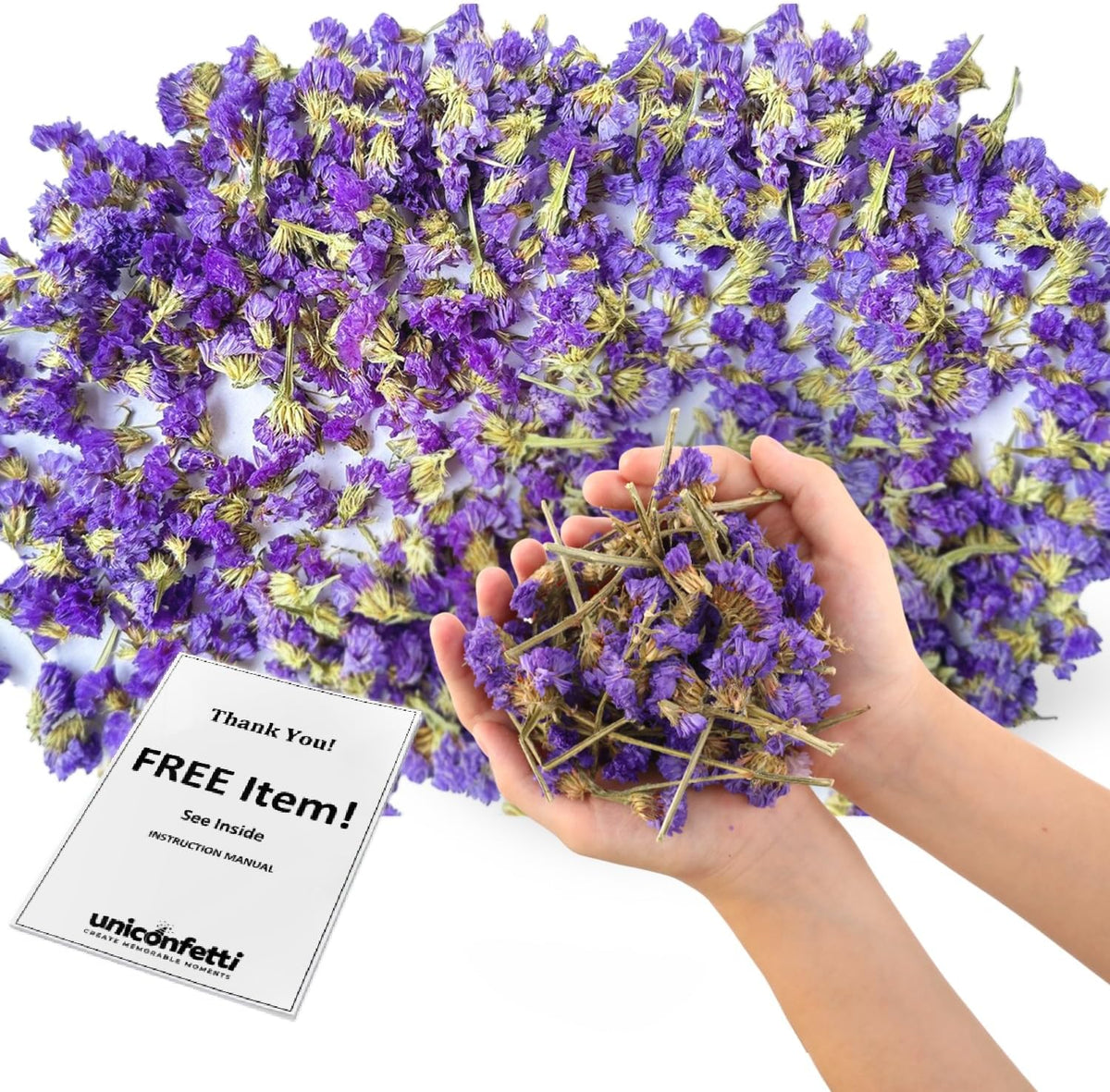 Dried Flower Forget Me Not Biodegradable Confetti - Real Flower Petals for Weddings, Flower Girl