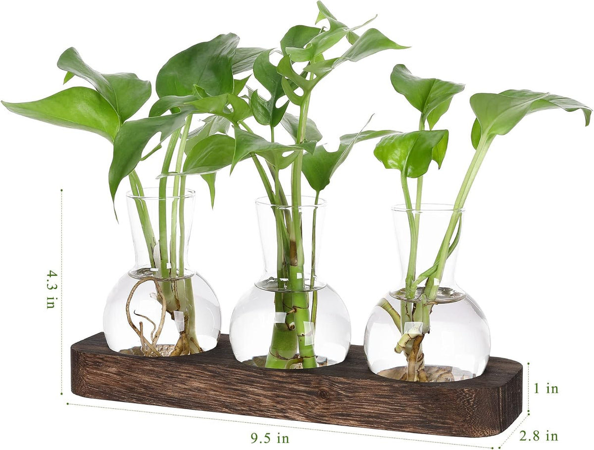 YIBOT Propagation Stations,Plant Propagation Vase,Desk Plant Terrarium with Retro Wooden