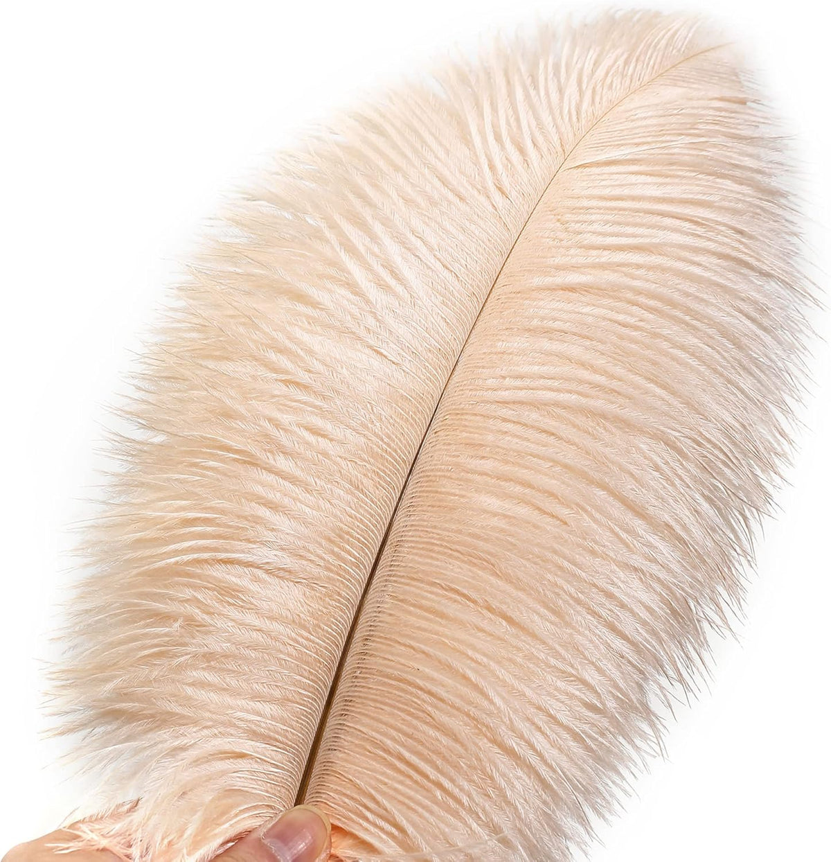 Ballinger Light Salmon Ostrich Feathers - 24pcs 8-10inch Feathers for Crafts，Wedding Party