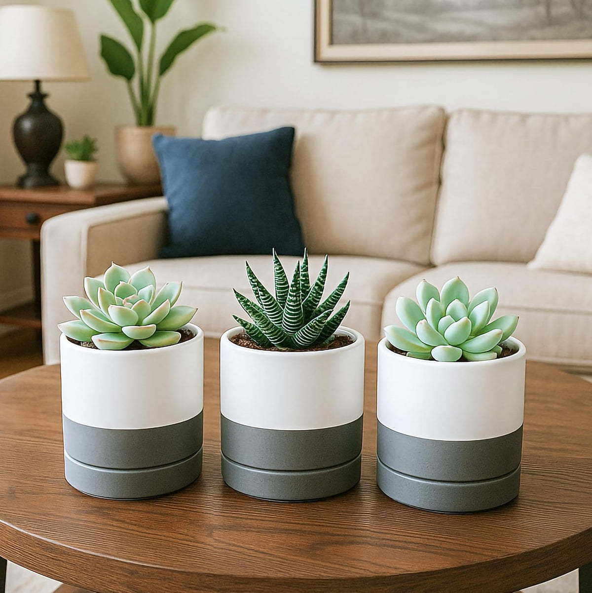 D'vine Dev Set of 4 Small Ceramic Plant Pots, 3.5 Inch Succulent Planter Pot for Plants with