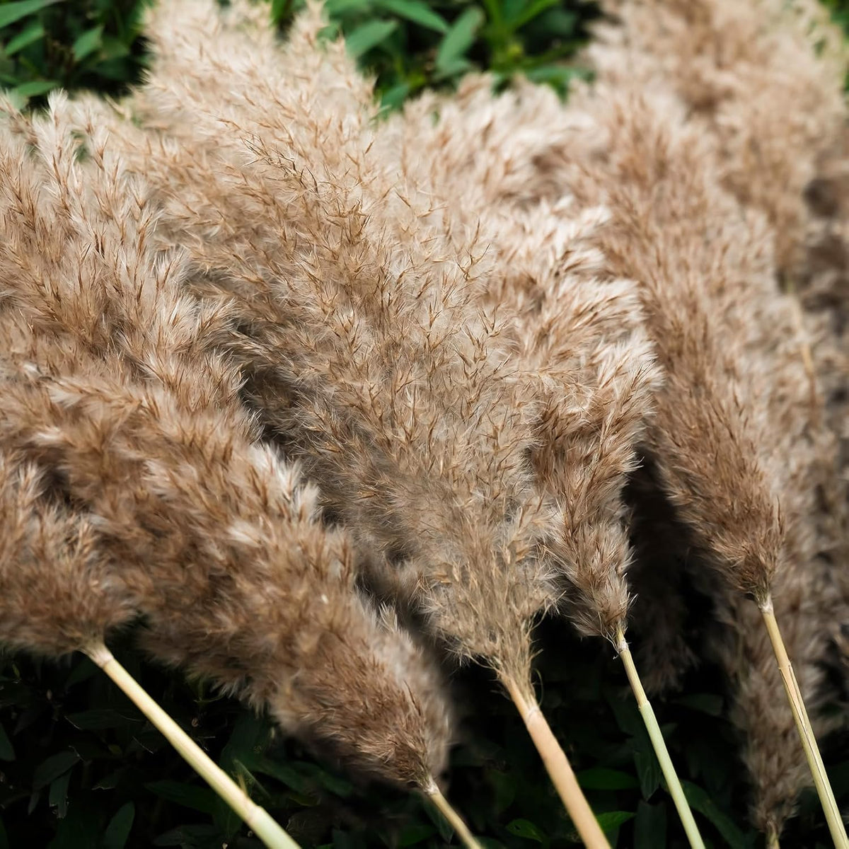 30-inch Tall Nature Pampas Grass Bouquet Decor - Boho Flowers and Feathers for Centerpieces