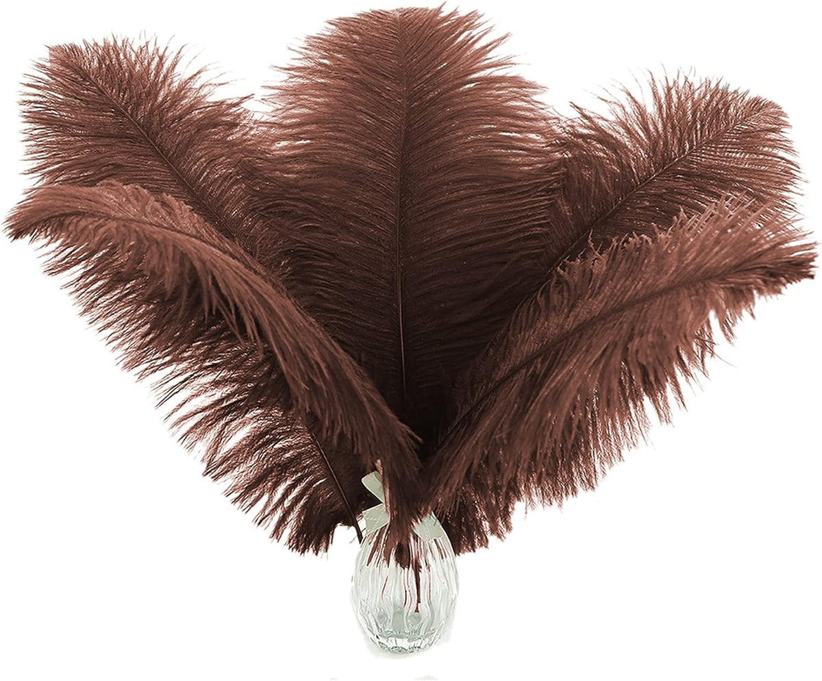 Ballinger Brown Big Ostrich Feathers - 24pcs 8-10inch Craft Feathers for Party Centerpieces, Flower