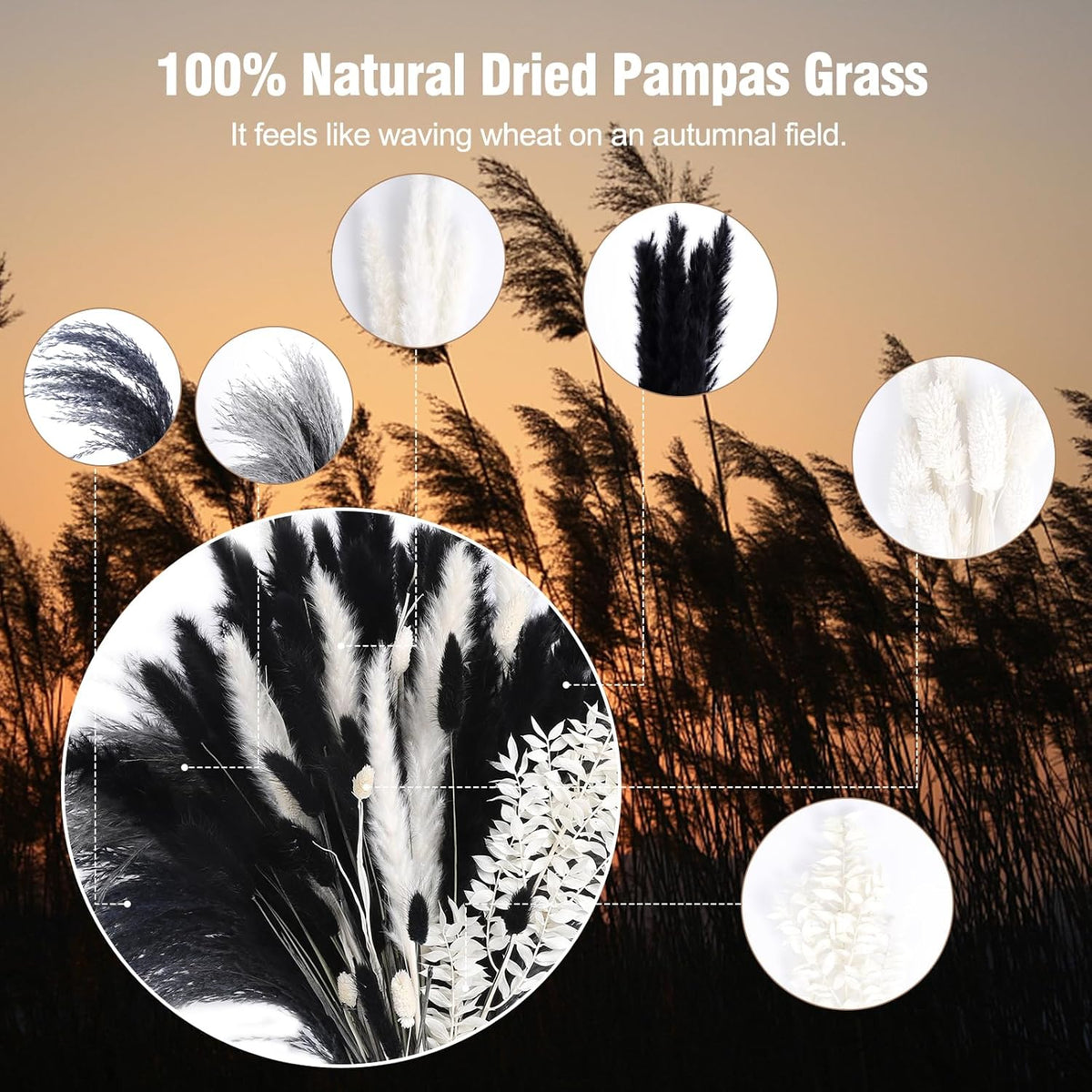 102PCS Black Pampas Grass Decor, Grey White Natural Dried Pampas Grass Bulk, Boho Home Decor