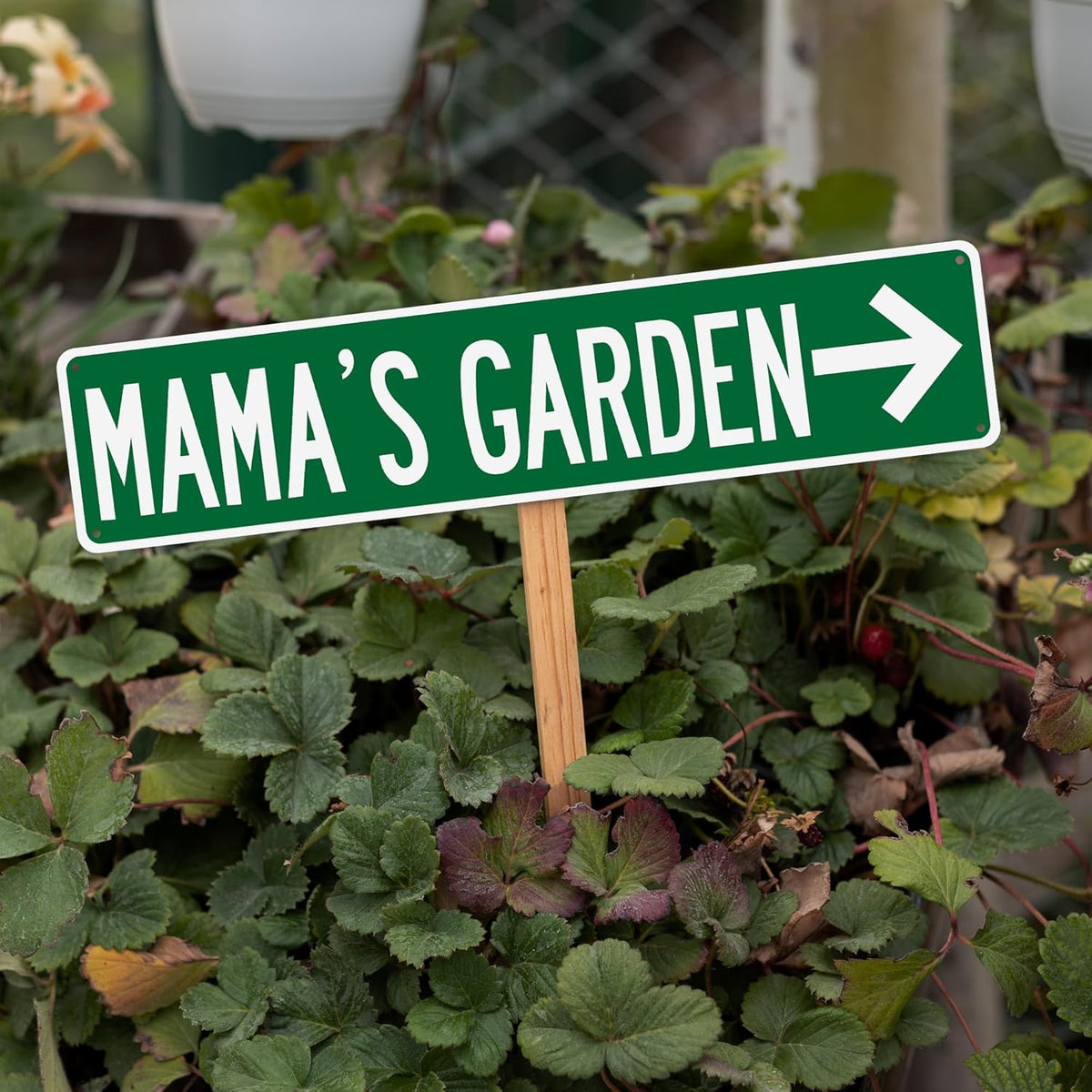 Customized Street Signs Custom Road Sign - Made In USA - Choose Your Color Signs For Bedroom