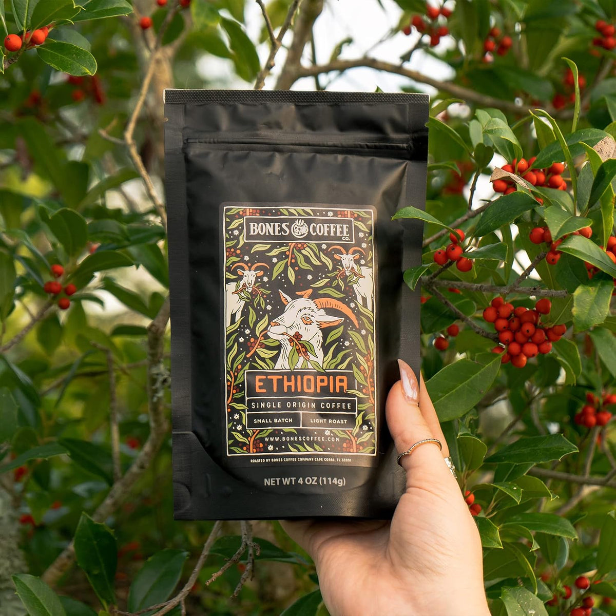 Bones Coffee Company NEW World Tour Sample Pack, Single-Origin Flavored Coffee Low Acid Medium