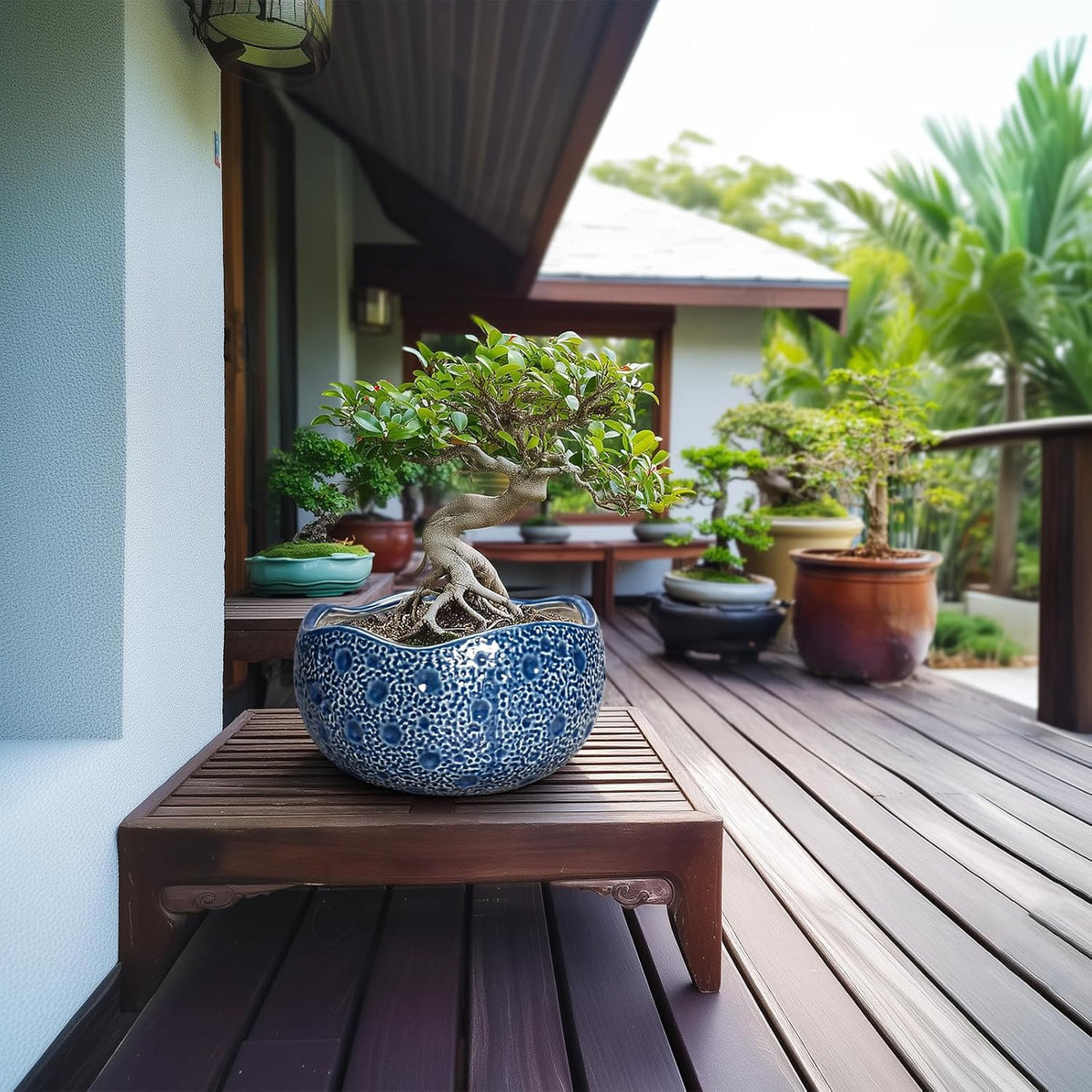 10 Inch Plant Pot - Ceramic Pots for Plants Indoor Outdoor, Round Bonsai Pots with Drainage Hole