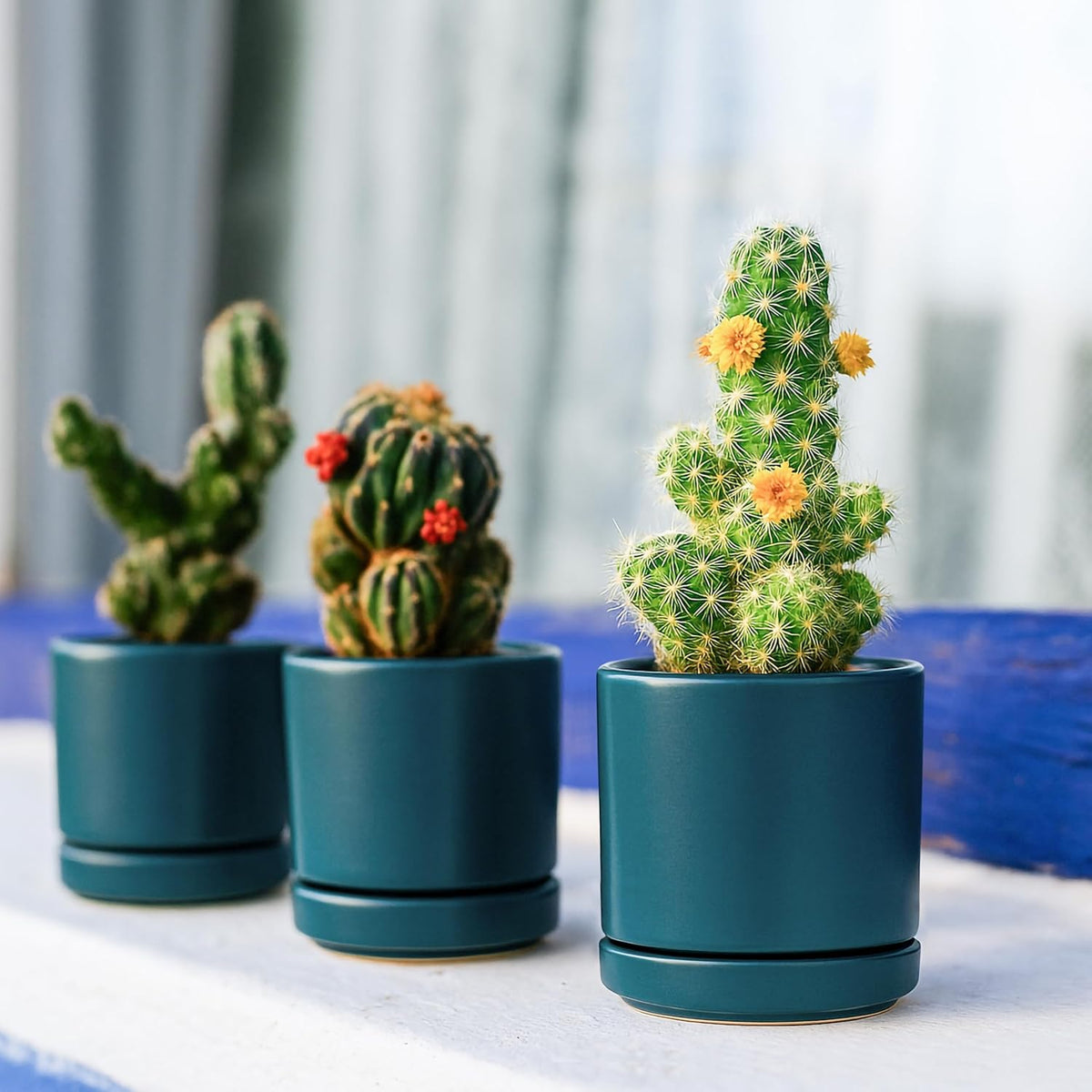 D'vine Dev Set of 4 Small Ceramic Plant Pots, 3.5 Inch Succulent Planter Pot for Plants with