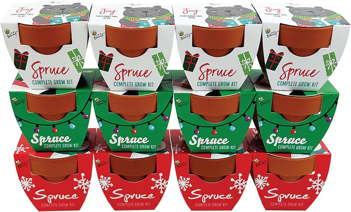 BUZZY Seeds Kids Holiday Mini Spruce Kit, 12-Pack Terracotta Pots with Bear, Penguin and Snowman