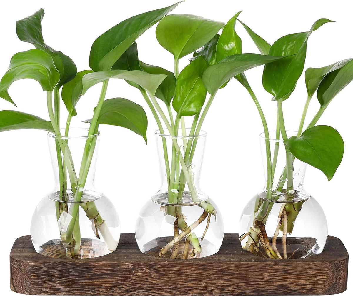 YIBOT Propagation Stations,Plant Propagation Vase,Desk Plant Terrarium with Retro Wooden