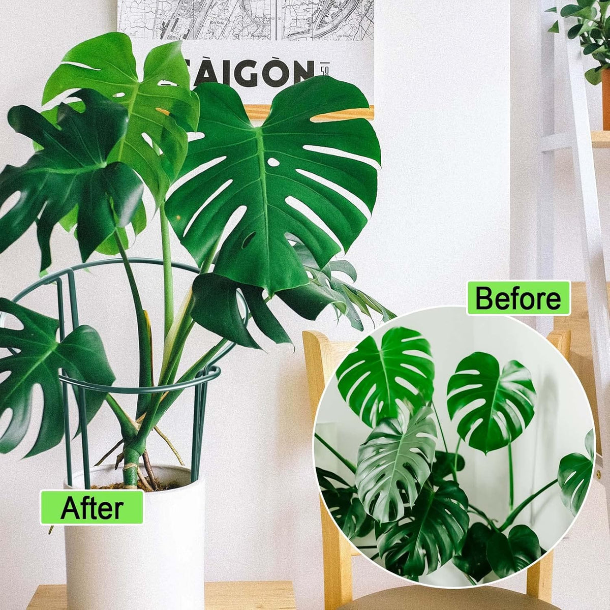 HiGift 12 Pack Plant Stakes for Indoor Plants, Metal Garden Peony Support Cages, Outdoor Plant