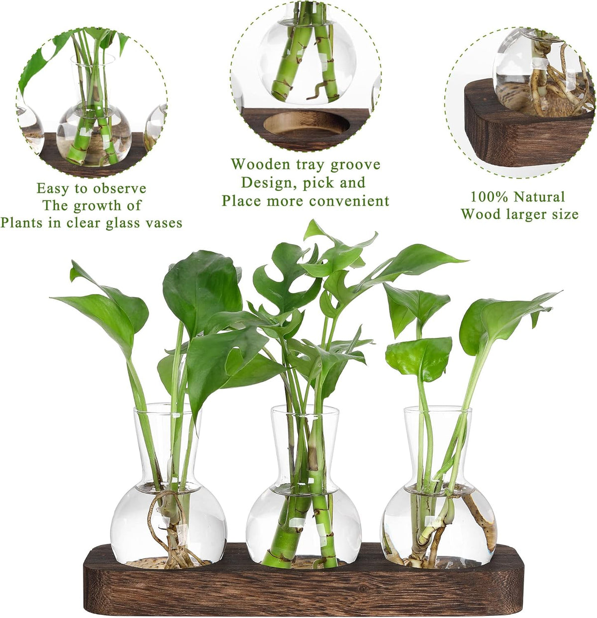 YIBOT Propagation Stations,Plant Propagation Vase,Desk Plant Terrarium with Retro Wooden
