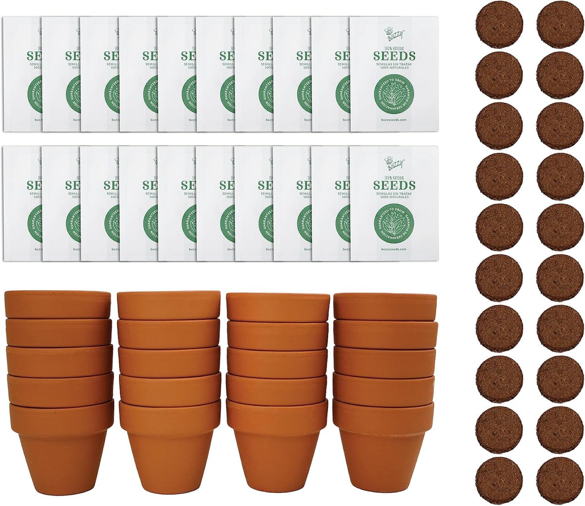 BUZZY Daisy Seeds & Genuine Terracotta 5cm Mini Pot Bulk Pack (20 Count), Includes 20 Each of pots