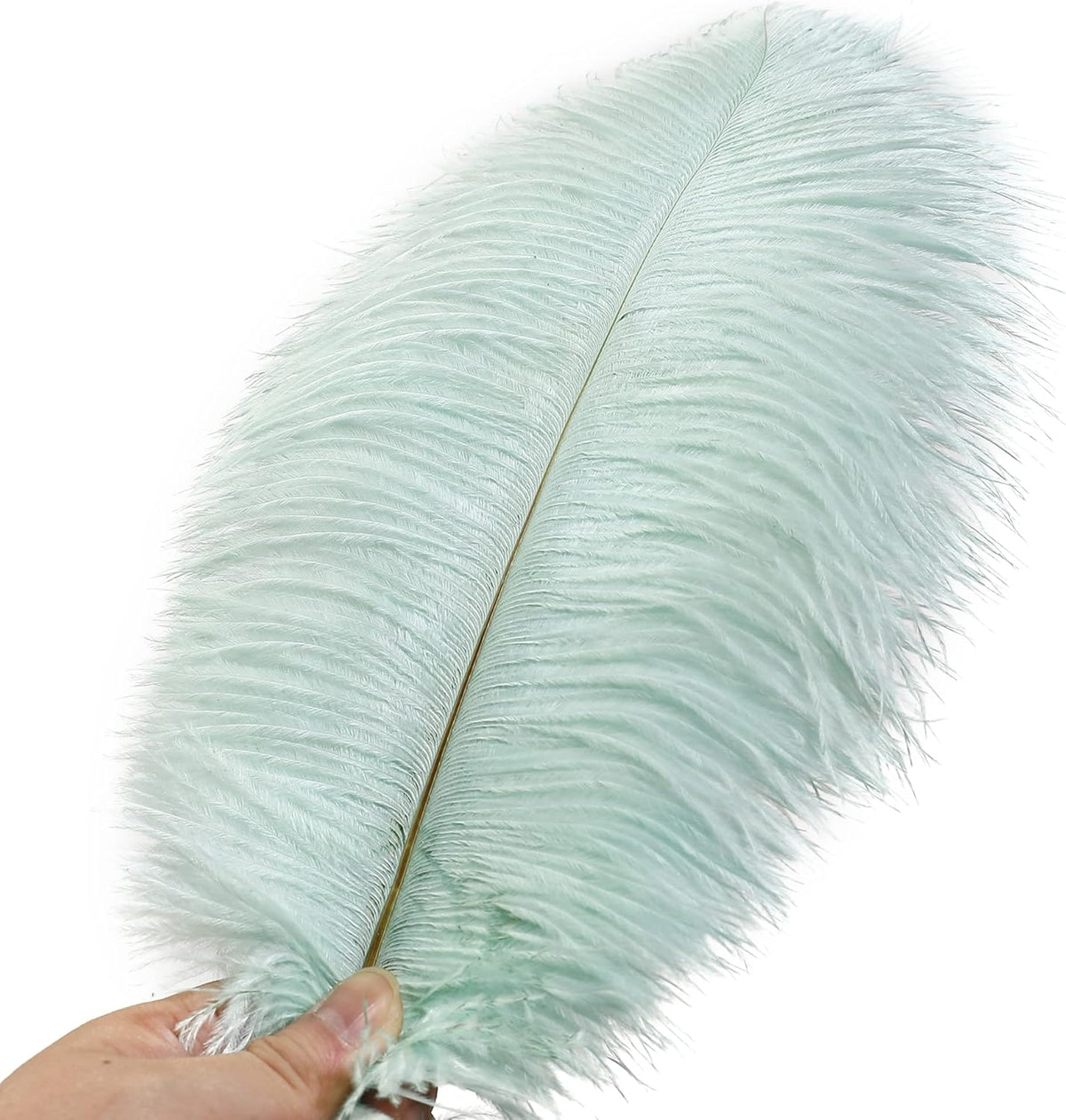 Ballinger Aqua Green Ostrich Feathers - 24pcs 12-14inch Craft Feathers Bulk for Wedding Party