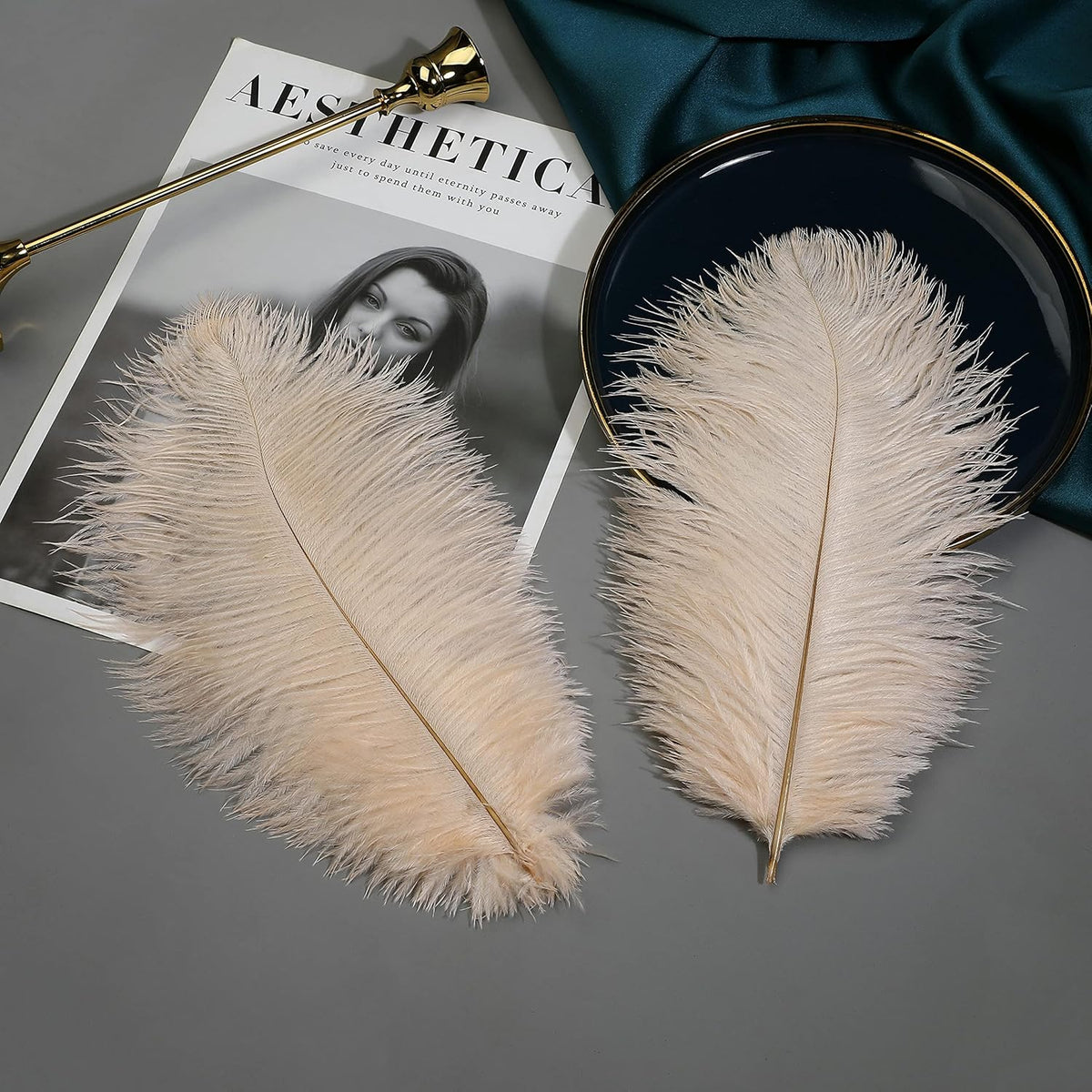 Ballinger Light Salmon Ostrich Feathers - 24pcs 10-12inch Feathers for vase，Wedding Party
