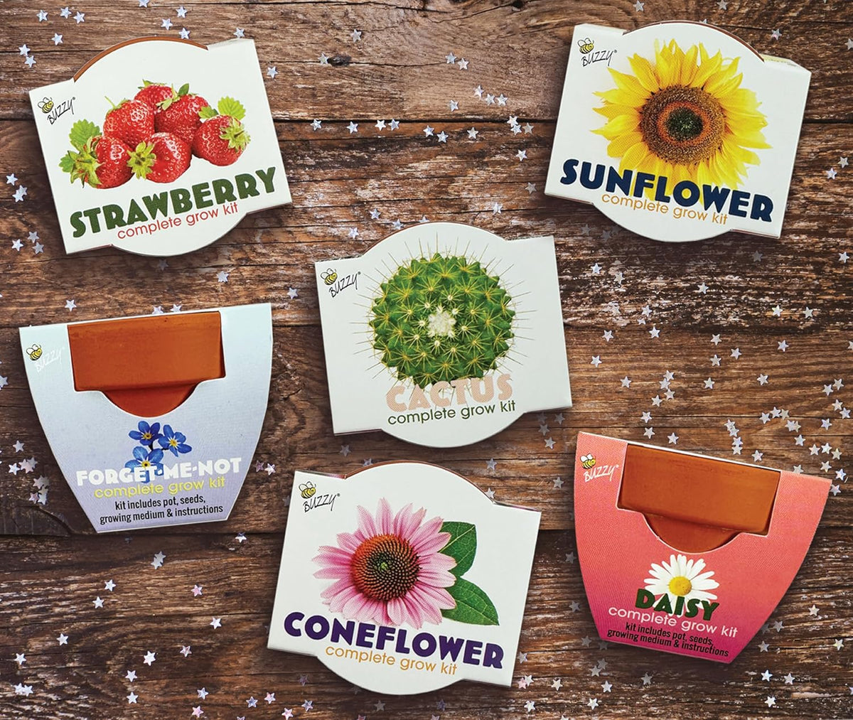 BUZZY Seeds Terracotta Mini Grow Pots | Herb, Plant, Flower Starter Kit for Kids & Adults |