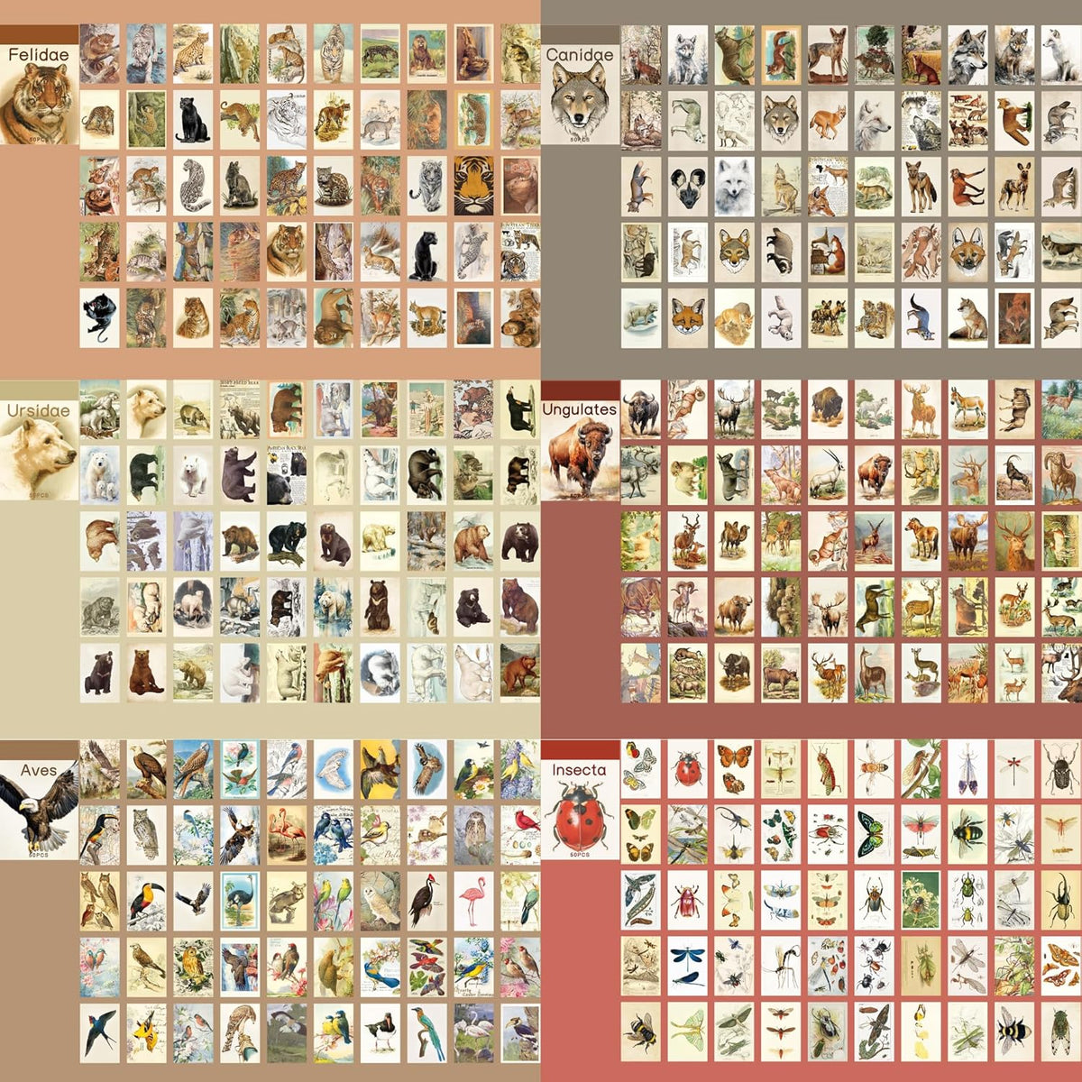 12 Sets 600 Sheets Washi Stickers Book for Journaling, Jungle Animal Sticker, Wild Zoo Sea Animal