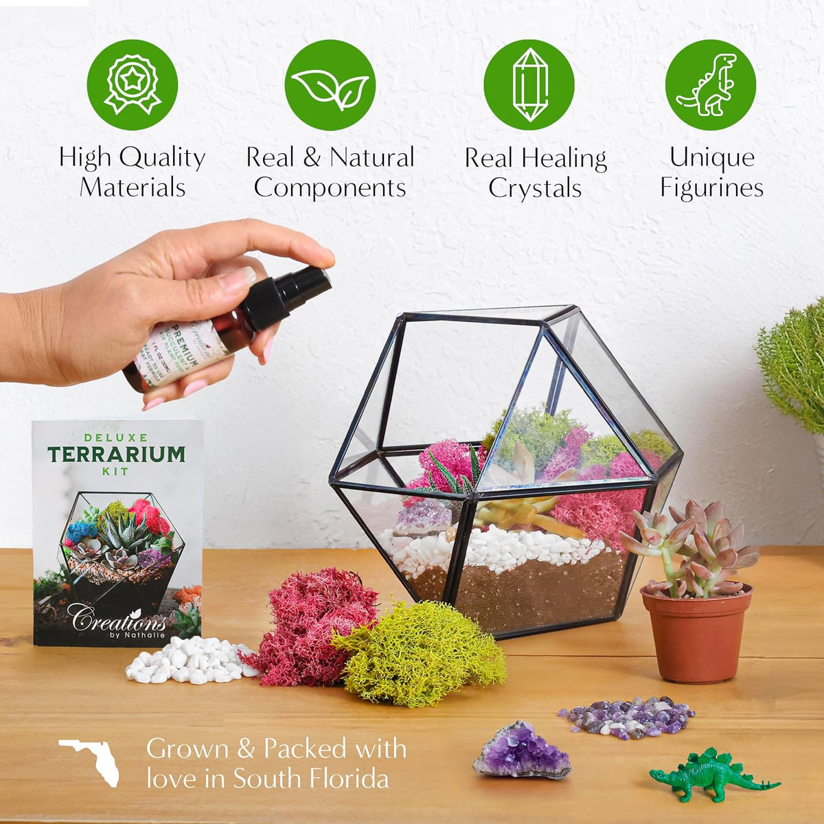 – DIY Large Terrarium Starter Kit with Soil, Moss, Pebbles, Healing Crystal, Tools & Supplies