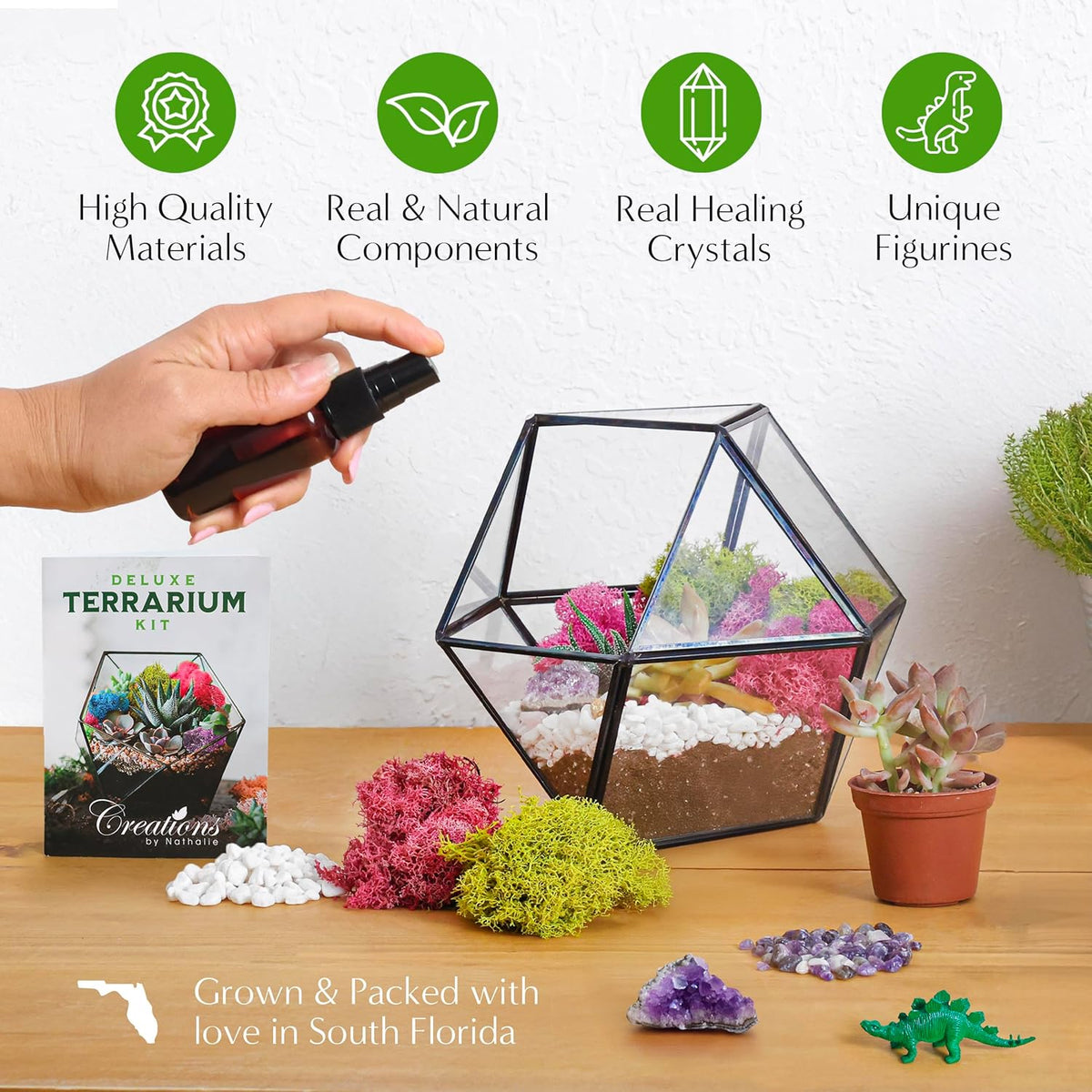 – Premium Small DIY Terrarium Kit for Succulents, Cacti & Air Plants, Includes Soil, Moss, Pebbles